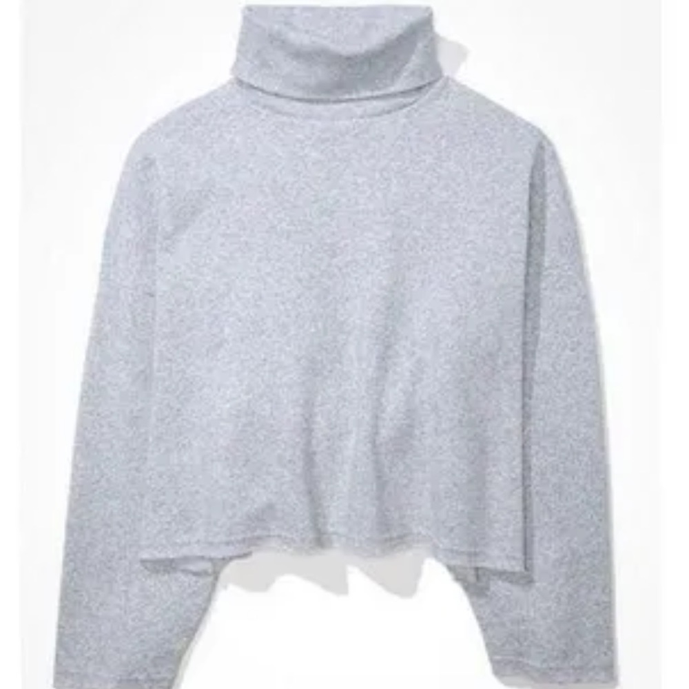 American Eagle Cropped Turtle Neck